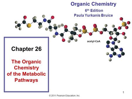© 2011 Pearson Education, Inc. 1 Chapter 26 The Organic Chemistry of the Metabolic Pathways Organic Chemistry 6 th Edition Paula Yurkanis Bruice.
