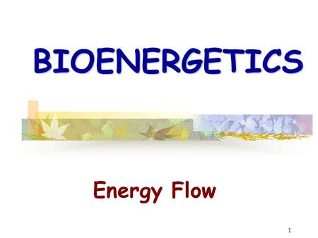 1 BIOENERGETICS Energy Flow. 2 What is Bioenergetics? energyliving systems organisms The study of energy in living systems (environments) and the organisms.