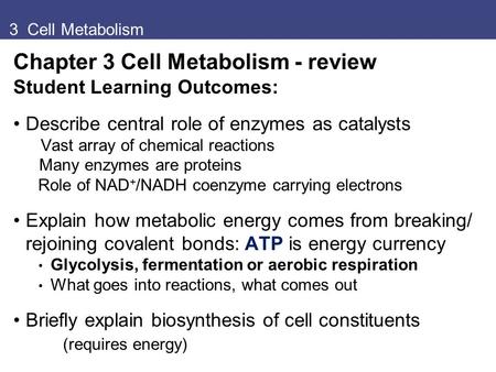 Chapter 3 Cell Metabolism - review