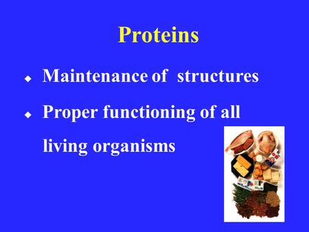 Proteins  Maintenance of structures  Proper functioning of all living organisms.