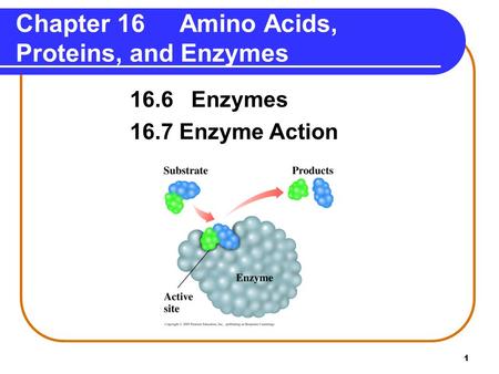 1 Chapter 16 Amino Acids, Proteins, and Enzymes 16.6 Enzymes 16.7 Enzyme Action.