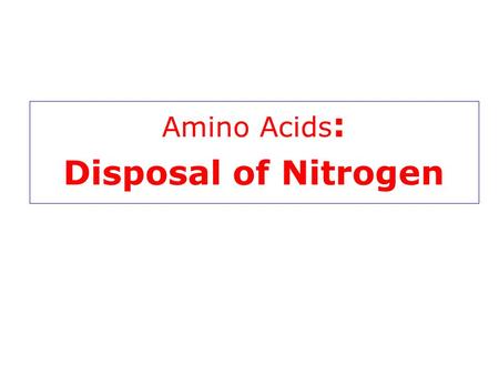 Amino Acids: Disposal of Nitrogen.