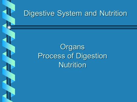 Digestive System and Nutrition