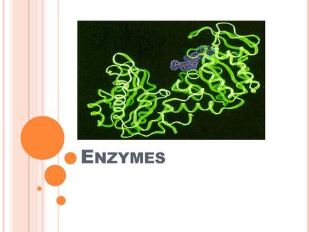 E NZYMES. A type of Protein MADE UP OF WHAT? A folded chain of amino acids In living things they act as Catalysts molecules that are used to speed up.