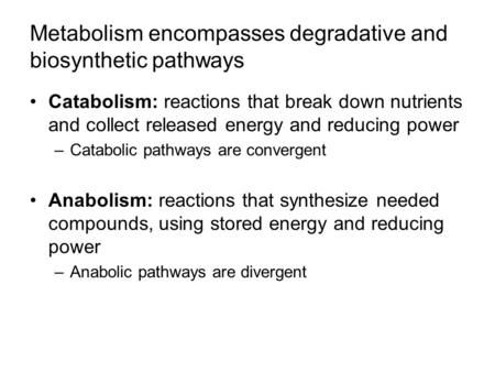 Metabolism encompasses degradative and biosynthetic pathways Catabolism: reactions that break down nutrients and collect released energy and reducing power.