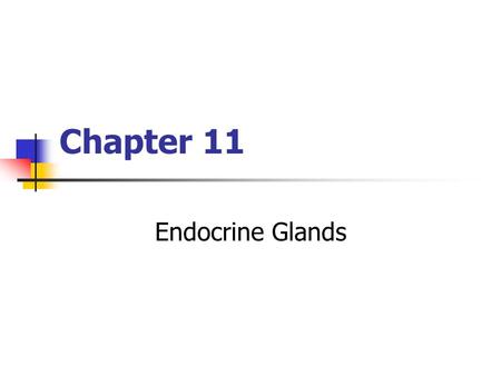 Chapter 11 Endocrine Glands.