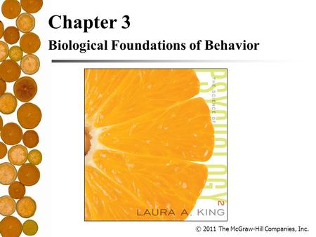 © 2011 The McGraw-Hill Companies, Inc. Chapter 3 Biological Foundations of Behavior.