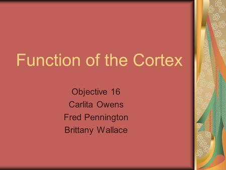 Function of the Cortex Objective 16 Carlita Owens Fred Pennington Brittany Wallace.