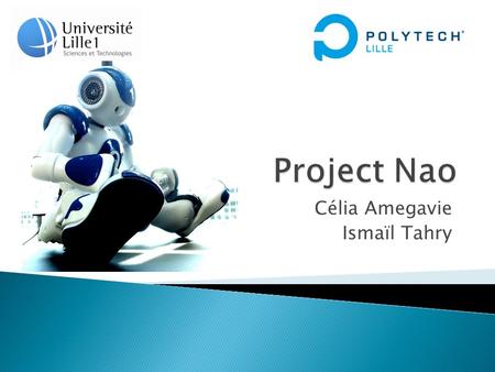 Célia Amegavie Ismaïl Tahry.  University of Science and Technology of Lille  Polytech Group (national network of 11 graduate schools within France's.