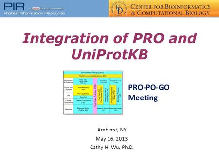 Integration of PRO and UniProtKB Amherst, NY May 16, 2013 Cathy H. Wu, Ph.D. PRO-PO-GO Meeting.