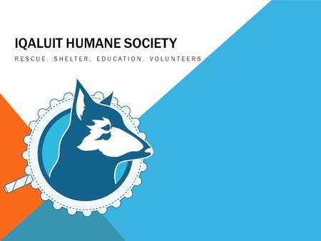 IQALUIT HUMANE SOCIETY RESCUE, SHELTER, EDUCATION, VOLUNTEERS.