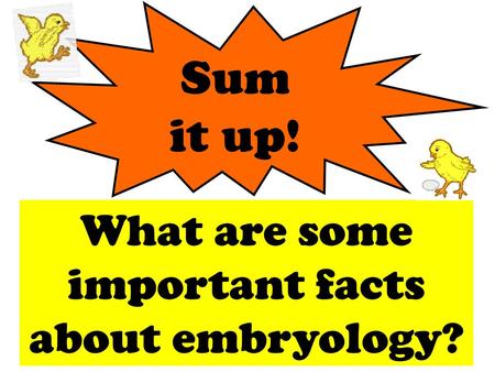 Sum it up! What are some important facts about embryology?