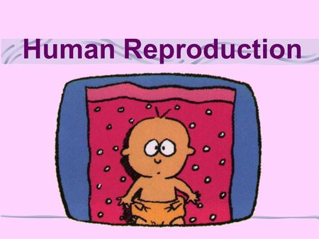 Human Reproduction. Battle of the sexes!!! Are males & females all that different? Well…….…..YES and NO.