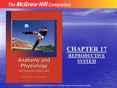 1 Copyright © The McGraw-Hill Companies, Inc. Permission required for reproduction or display. CHAPTER 17 REPRODUCTIVE SYSTEM.