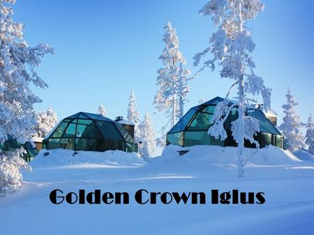 Golden Crown Iglus. Golden Crown Iglus is located 10 kilometres from Levi, middle of nature. There you can experience the arctic nature in a unique and.
