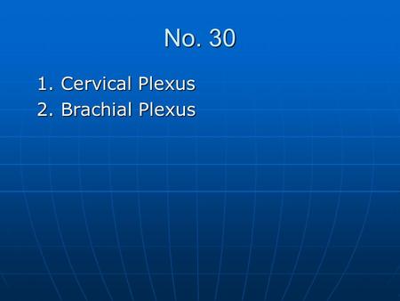 No. 30 1. Cervical Plexus 2. Brachial Plexus.