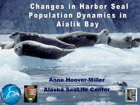 Anne Hoover-Miller Alaska SeaLife Center Photo: DW Miller.
