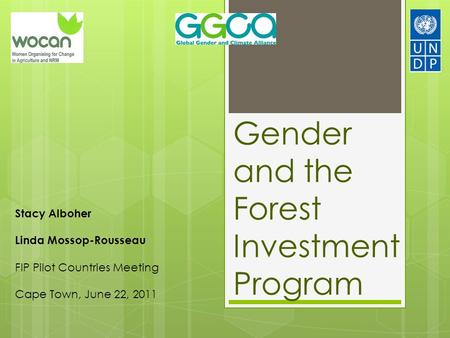 Gender and the Forest Investment Program Stacy Alboher Linda Mossop-Rousseau FIP Pilot Countries Meeting Cape Town, June 22, 2011.