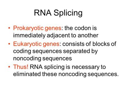 RNA Splicing Prokaryotic genes: the codon is immediately adjacent to another Eukaryotic genes: consists of blocks of coding sequences separated by noncoding.