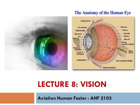 Aviation Human Factor : AHF 2103