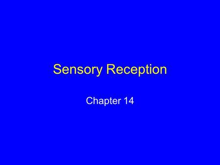 Sensory Reception Chapter 14. Sensory Systems The means by which organisms receive signals from the external world and internal environment.
