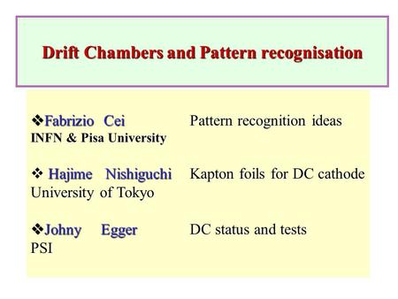 Drift Chambers and Pattern recognisation  Fabrizio CeiPattern recognition ideas INFN & Pisa University  Hajime NishiguchiKapton foils for DC cathode.