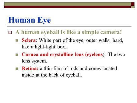 Human Eye  A human eyeball is like a simple camera! Sclera: White part of the eye, outer walls, hard, like a light-tight box. Cornea and crystalline lens.