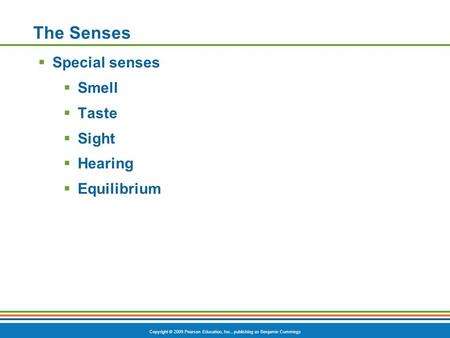 Copyright © 2009 Pearson Education, Inc., publishing as Benjamin Cummings The Senses  Special senses  Smell  Taste  Sight  Hearing  Equilibrium.