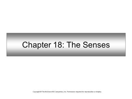 Chapter 18: The Senses.