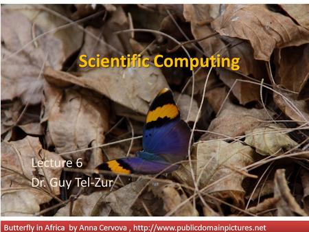 Scientific Computing Lecture 6 Dr. Guy Tel-Zur Butterfly in Africa by Anna Cervova,