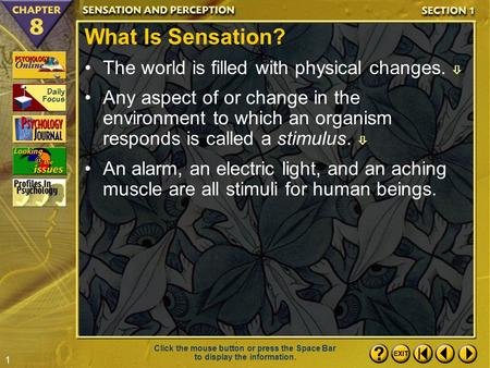 What Is Sensation? The world is filled with physical changes. 
