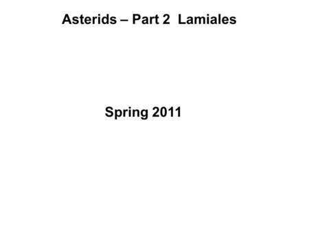 Asterids – Part 2 Lamiales Spring 2011. “basal” asterids (Asterids I) (Asterids II) Figure 9.4 from the text.