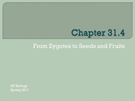 From Zygotes to Seeds and Fruits AP Biology Spring 2011.