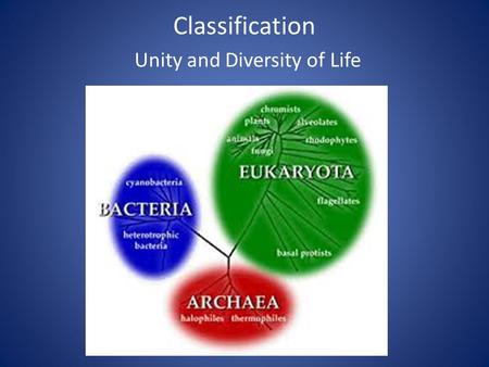 Classification Unity and Diversity of Life