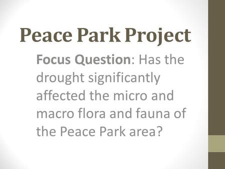 Peace Park Project Focus Question: Has the drought significantly affected the micro and macro flora and fauna of the Peace Park area?