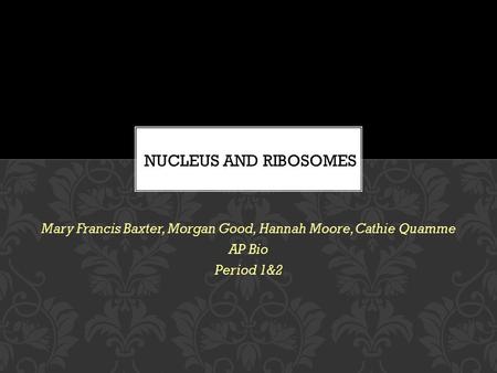 Mary Francis Baxter, Morgan Good, Hannah Moore, Cathie Quamme AP Bio Period 1&2 NUCLEUS AND RIBOSOMES.