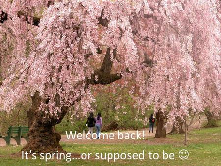 Welcome back! It’s spring…or supposed to be MAT199: Math Alive Cryptography Ian Griffiths Mathematical Institute, University of Oxford, Department of.