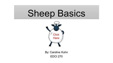 By: Caroline Kuhn EDCI 270 Sheep Basics Click Here.