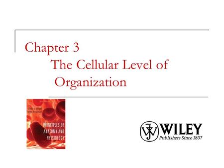 Chapter 3 The Cellular Level of Organization. A Generalized Cell: Animal Model 1. Plasma membrane 2. Cytoplasm 3. Nucleus Copyright 2009 John Wiley &