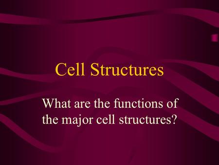 What are the functions of the major cell structures?