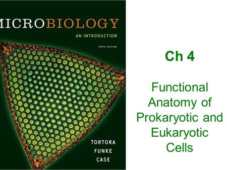 Ch 4 Functional Anatomy of Prokaryotic and Eukaryotic Cells