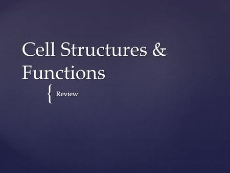 { Cell Structures & Functions Review. What type of cell?
