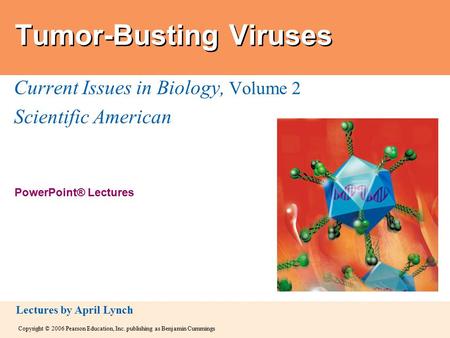 Copyright © 2006 Pearson Education, Inc. publishing as Benjamin Cummings PowerPoint® Lectures Lectures by April Lynch Tumor-Busting Viruses Current Issues.