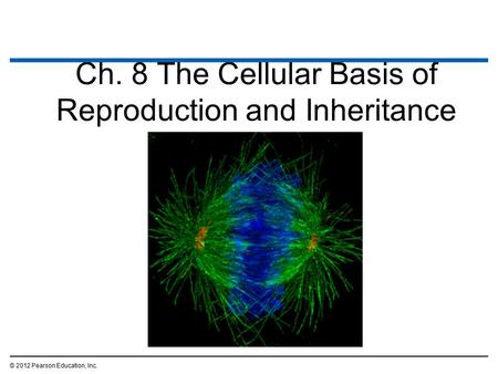 Ch. 8 The Cellular Basis of Reproduction and Inheritance