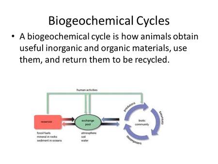 Biogeochemical Cycles A biogeochemical cycle is how animals obtain useful inorganic and organic materials, use them, and return them to be recycled.
