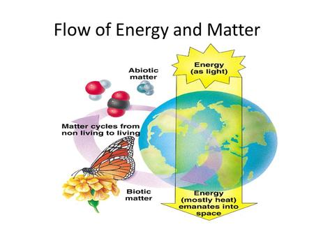 Flow of Energy and Matter. Ecosystem Recycling Energy and matter flow through an ecosystem Plants get energy from the sun We get energy from what we eat.