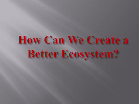 What problems do ecosystems currently face? What are strategies to prevent problems? Are these methods accomplishable? Can we restore original ecosystems?