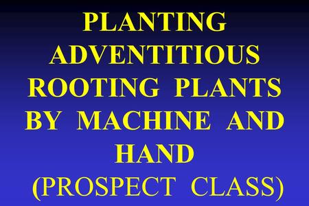 PLANTING ADVENTITIOUS ROOTING PLANTS BY MACHINE AND HAND (PROSPECT CLASS)