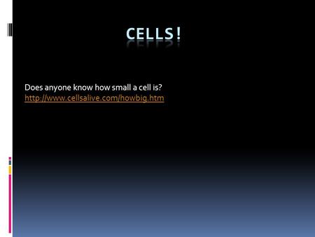 Does anyone know how small a cell is?