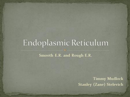 Smooth E.R. and Rough E.R. Timmy Mudlock Stanley (Zane) Stelevich.